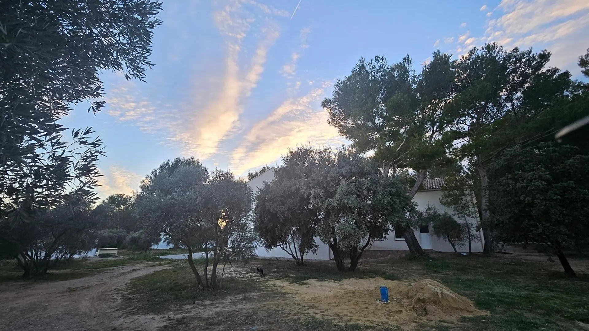 Au Coeur Des Oliviers En Provence Apartment Pelissanne