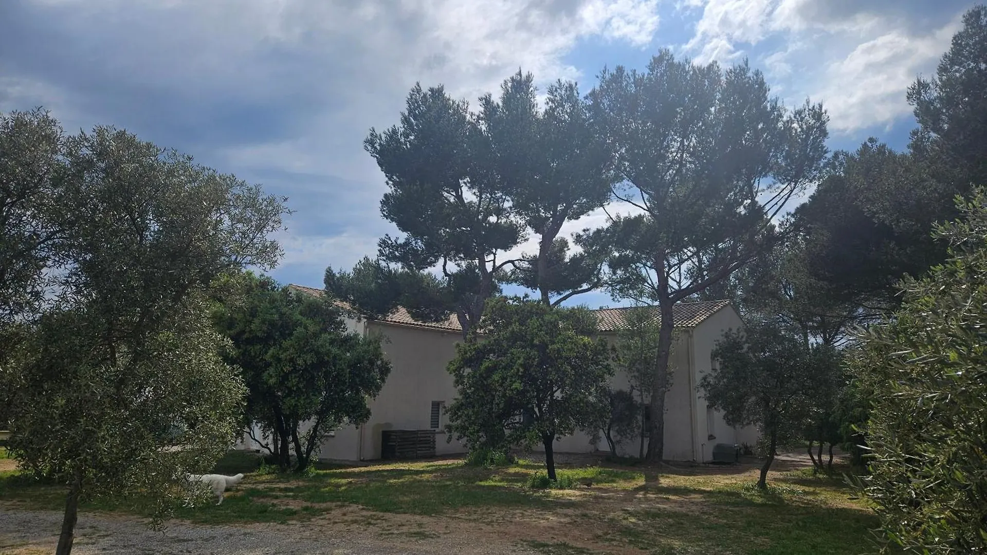 Au Coeur Des Oliviers En Provence Apartment Pelissanne France
